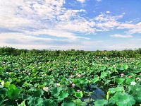 赤壁：白云如羽蓝天高