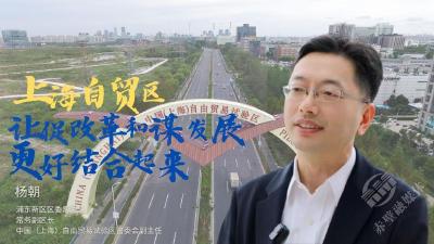 自贸区十年之改革篇：上海自贸区深耕改革“试验田” 让促改革和谋发展更好结合起来