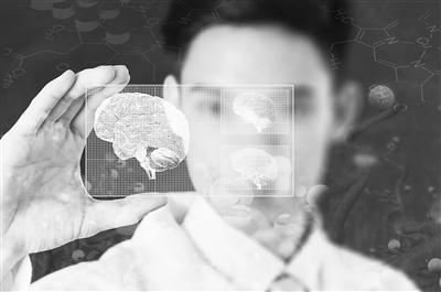 数千年间，脑容量下降了约10%人类的大脑是怎么“丢”的？