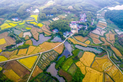 美文丨去枫桥吧