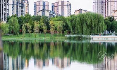 河南郸城：秋日小城 美如画卷