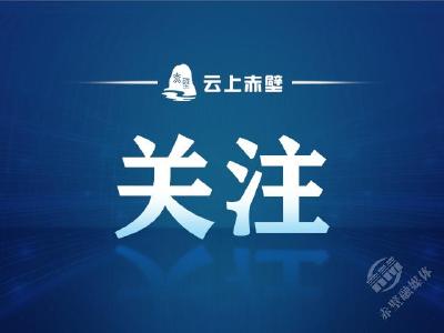 习近平在中共中央政治局第九次集体学习时强调 铸牢中华民族共同体意识 推进新时代党的民族工作高质量发展