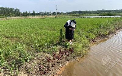 中国人寿财险赤壁市支公司依托科技服务助力农业风险防范