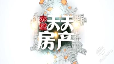 2023年《天天房产》第三期 苏式园林 国风庭院 盛大交房