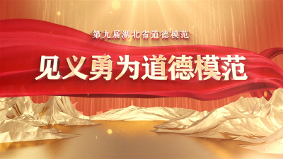 【榜样的力量】第九届湖北省道德模范——见义勇为道德模范