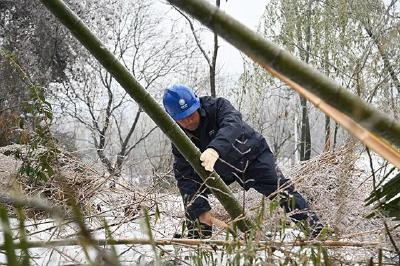 向雪而行保供电   守护温暖亮堂年