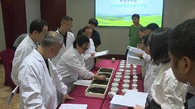 赤壁市召开青砖茶实物标准样品专家评审会