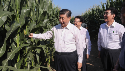 “让农民腰包越来越鼓、生活越来越美好”——习近平总书记走进田间地头话“三农”