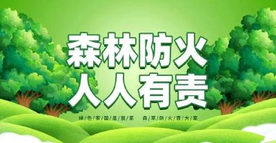 咸宁发布森林防火戒严令