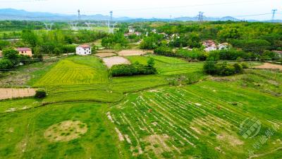 赤壁：春和景明人亦勤 山清水秀景亦美
