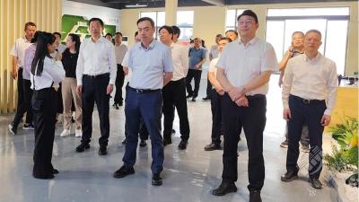 湖北农发集团一行来赤壁考察调研 携手开创互利共赢新局面