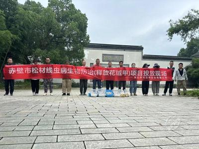赤壁市林业局开展花绒寄甲投放工作 助力松材线虫病生物防治