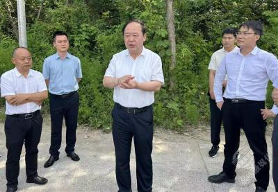 葛军调研望山片区综合物流建设工作