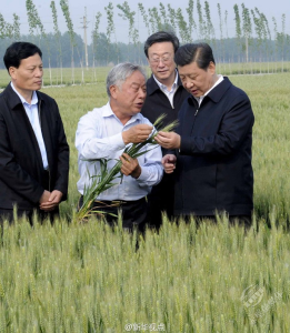 学习进行时丨是贡献，也是奉献——习近平总书记和河南的故事