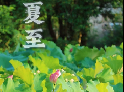 夏至已至