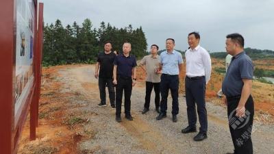 董方平在开展第二季度林长制巡林工作时强调：统筹生态保护与产业发展 真正把绿水青山转化为金山银山