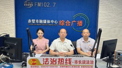 市长谈法治