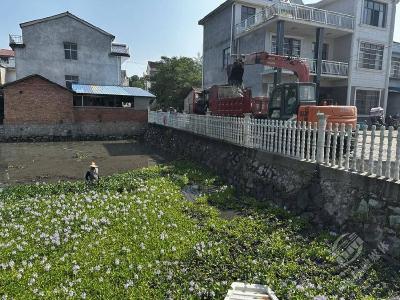 柳山湖镇：清淤活水，护塘兴农