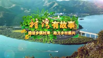 村湾有故事 | 洋泉畈村：泥土里绽放的振兴密码