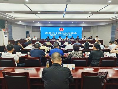 市十届人大常委会召开第三十一次会议