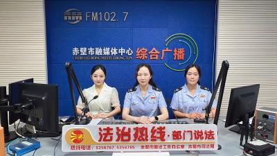 国家税务总局赤壁市税务局