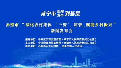 直播丨赤壁市“深化农村集体‘三资’监管，赋能乡村振兴”新闻发布会