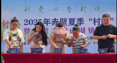 赤壁市柳山湖镇第三届葡萄采摘节等你来约