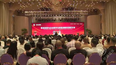 政企协同探转型 赤壁数商论坛搭建高质量交流平台