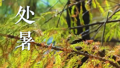 处暑时节，暑气悠悠退场，秋意轻轻蔓延