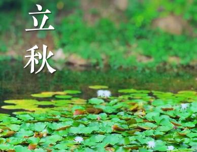暑热渐消，秋情待启！