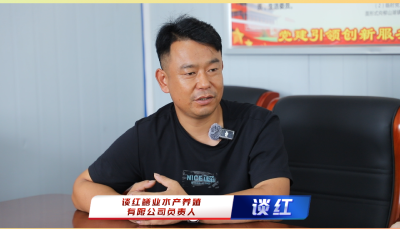 80后新农人谈红书写黄鳝养殖的创业传奇