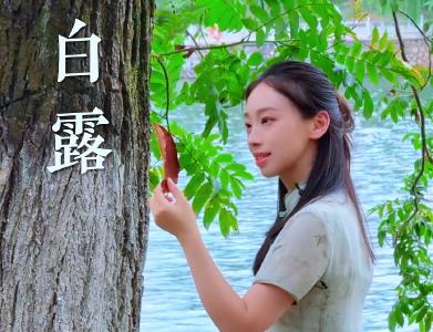 今日白露，孟秋的余温渐敛