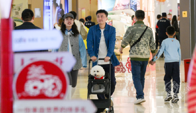 确保基本实现社会主义现代化取得决定性进展——写在党的二十届四中全会召开之际