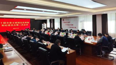 赤壁市召开十届市委全面深化改革和财经委员会第二次会议