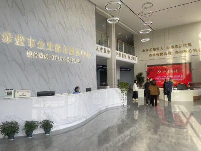 学真经，干实处—— 赤壁年轻干部浙江学习归来，推动企业服务系统升级