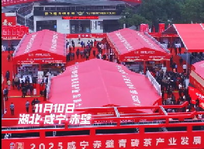 2025咸宁赤壁青砖茶产业发展大会盛大开幕