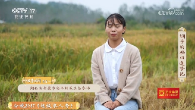 《三农群英汇》20251119 娴子的稻田追梦记