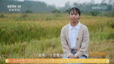 2025年11月19日央视【三农群英汇】娴子的稻田追梦记