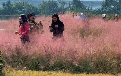 立冬之日，水始冰，地始冻