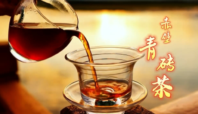 从湖北赤壁到新疆温泉，这碗醇香的奶茶泡出鄂温深厚情谊！