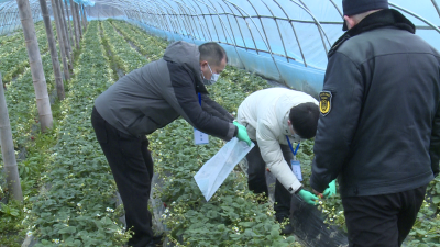赤壁市筑牢春节及全国两会期间农产品质量安全防线
