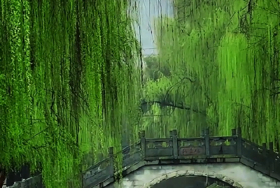 子敬路柳丝轻拂，晕开了江南的温婉