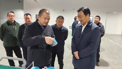 董方平调研督办重点项目建设工作时强调：发扬“板房精神” 强化要素保障 以实干实绩推动赤壁“十五五”开好局起好步