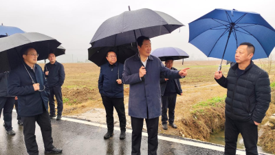 董方平带队调研督导高标准农田项目建设工作 落实建设标准 强化长效管护 着力绘就田美粮丰、生态宜居的美好田园画卷