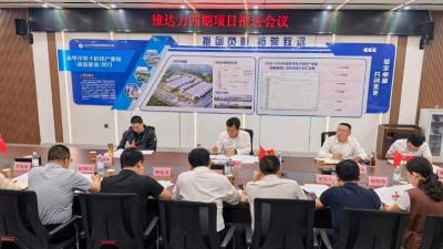 彭光平专题督办维达力四期项目建设 强化统筹调度 落实要素保障 以最快速度、最优服务、最实举措为项目发展提供优质环境