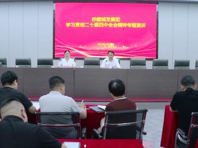 赤壁城发集团专题学习贯彻党的二十届四中全会精神