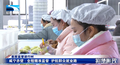 《荆楚廉政》报道赤壁：全程精准监督 护航群众就业路