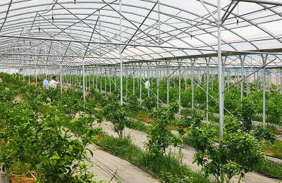 湖北赤垄美智慧农业产业园：打造赤壁智慧农业新标杆