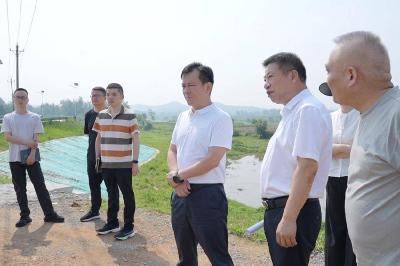彭光平调研陆水河水环境综合治理项目建设工作