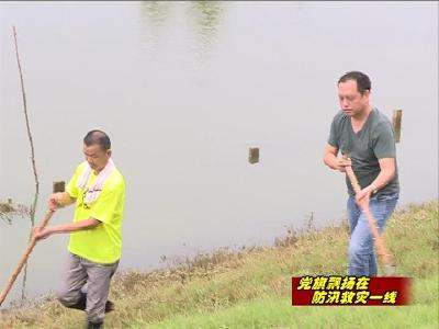 应城办事处防汛抢险与日常工作两不误